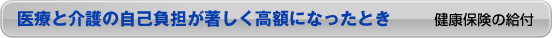 医療と介護の自己負担が著しく高額になったとき